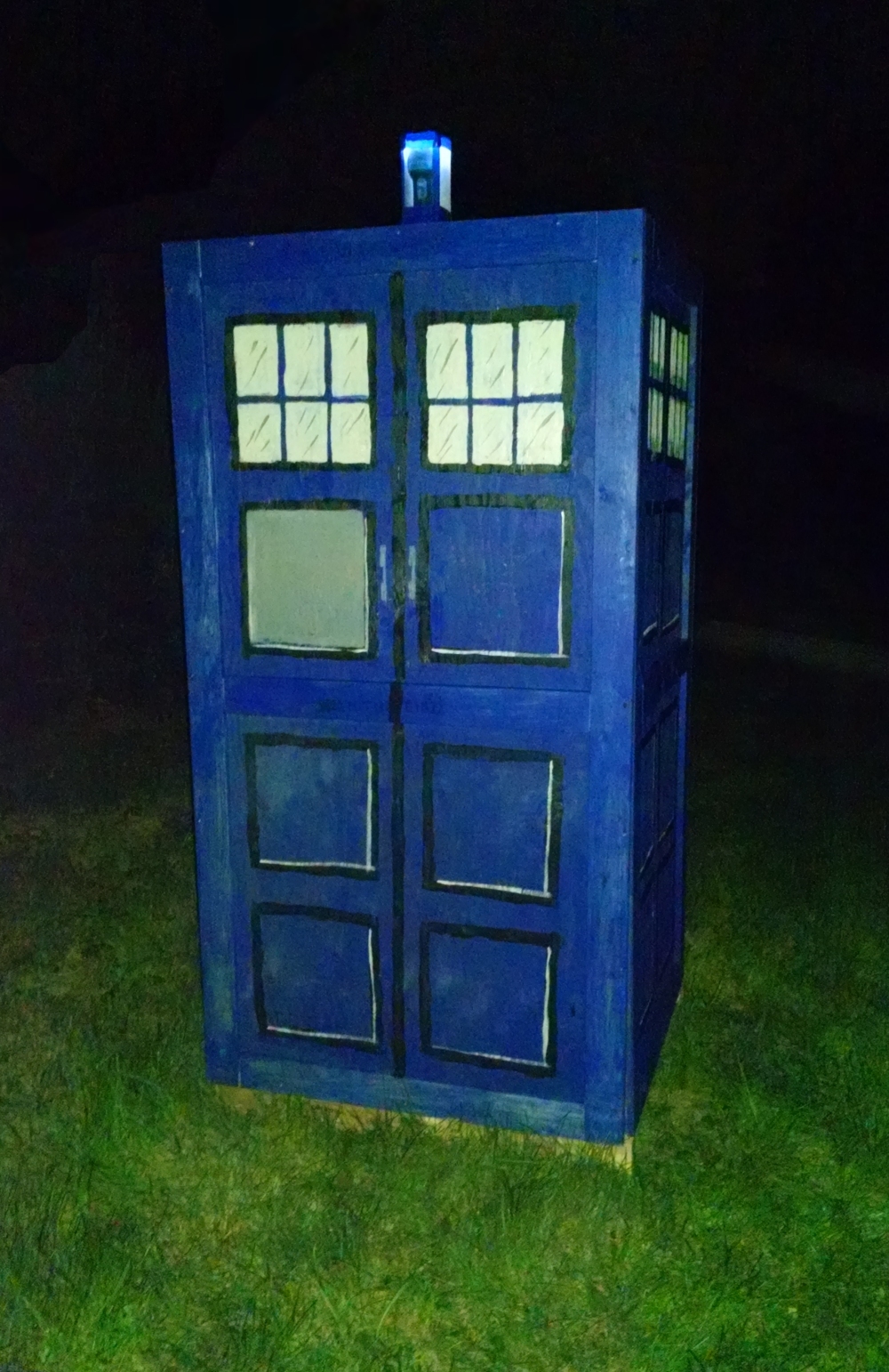 Backyard Tardis.jpg