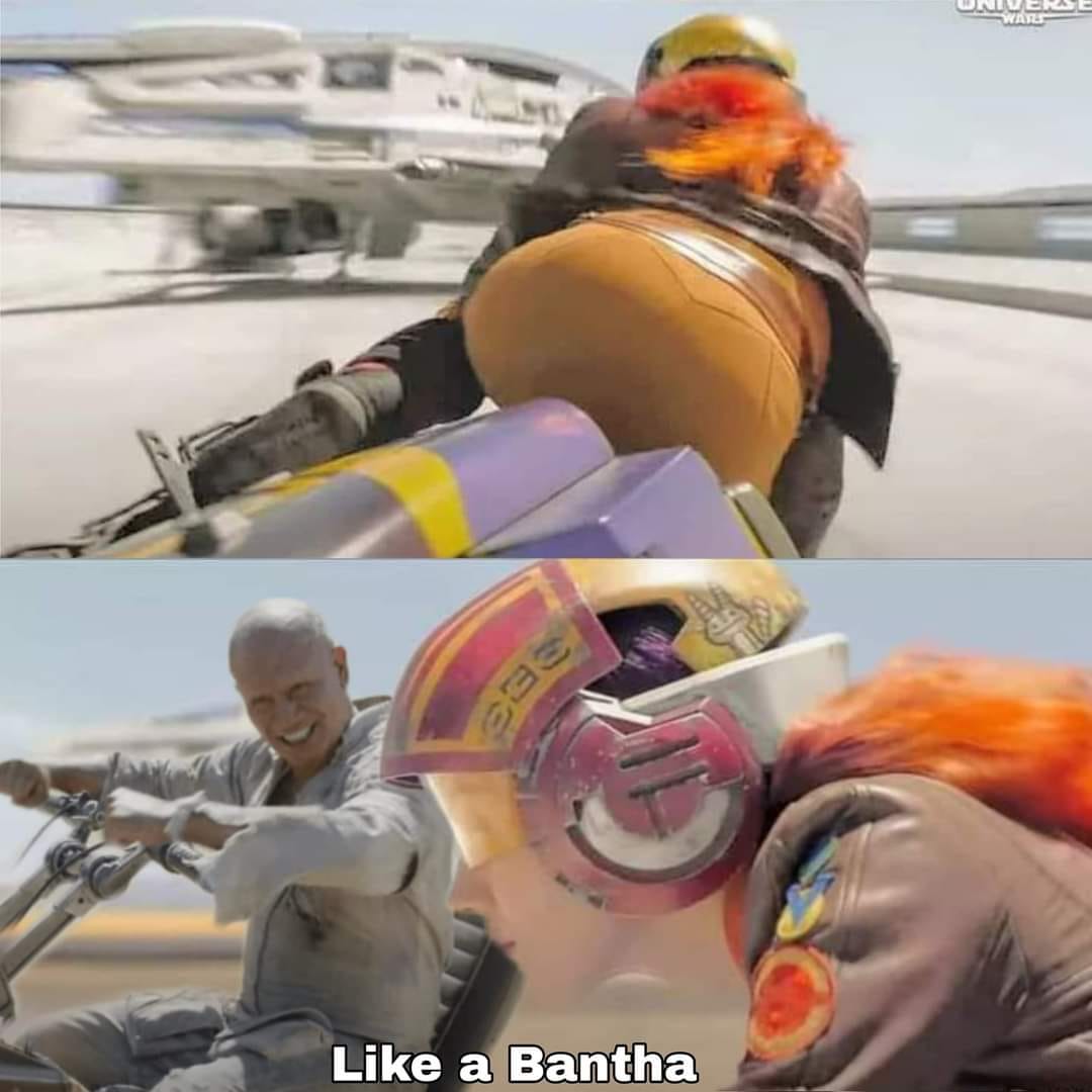 bantha.jpg