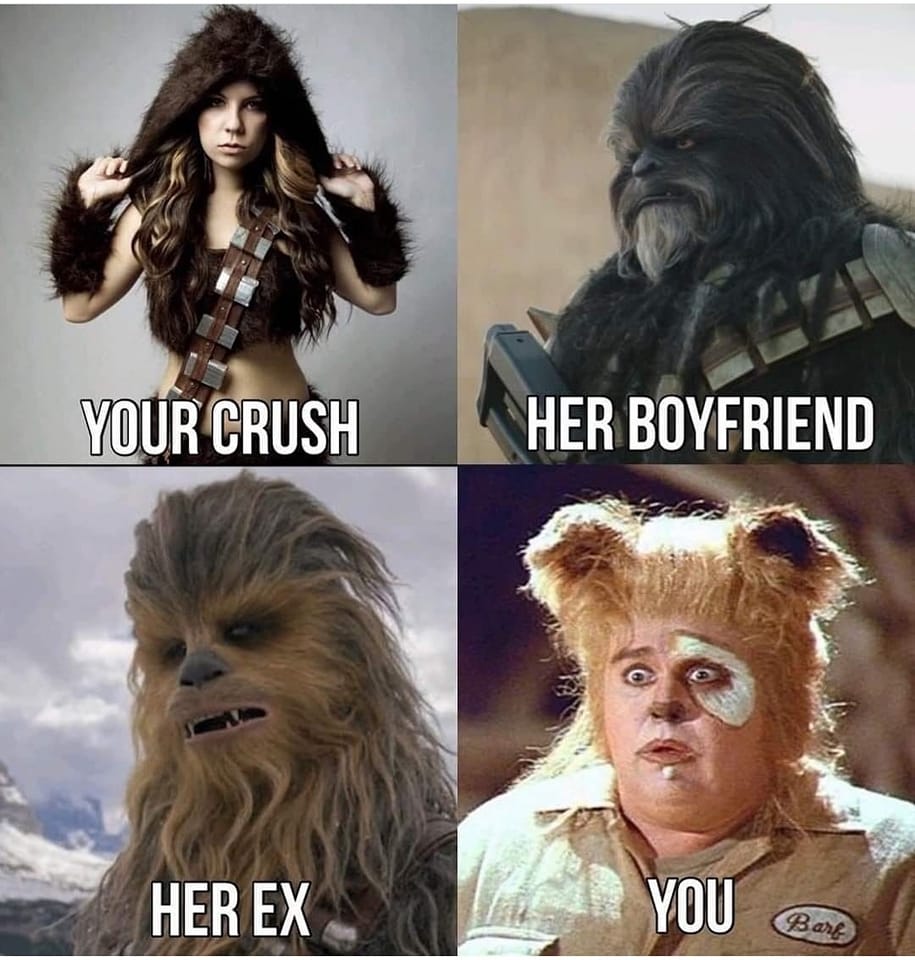 barf.jpg