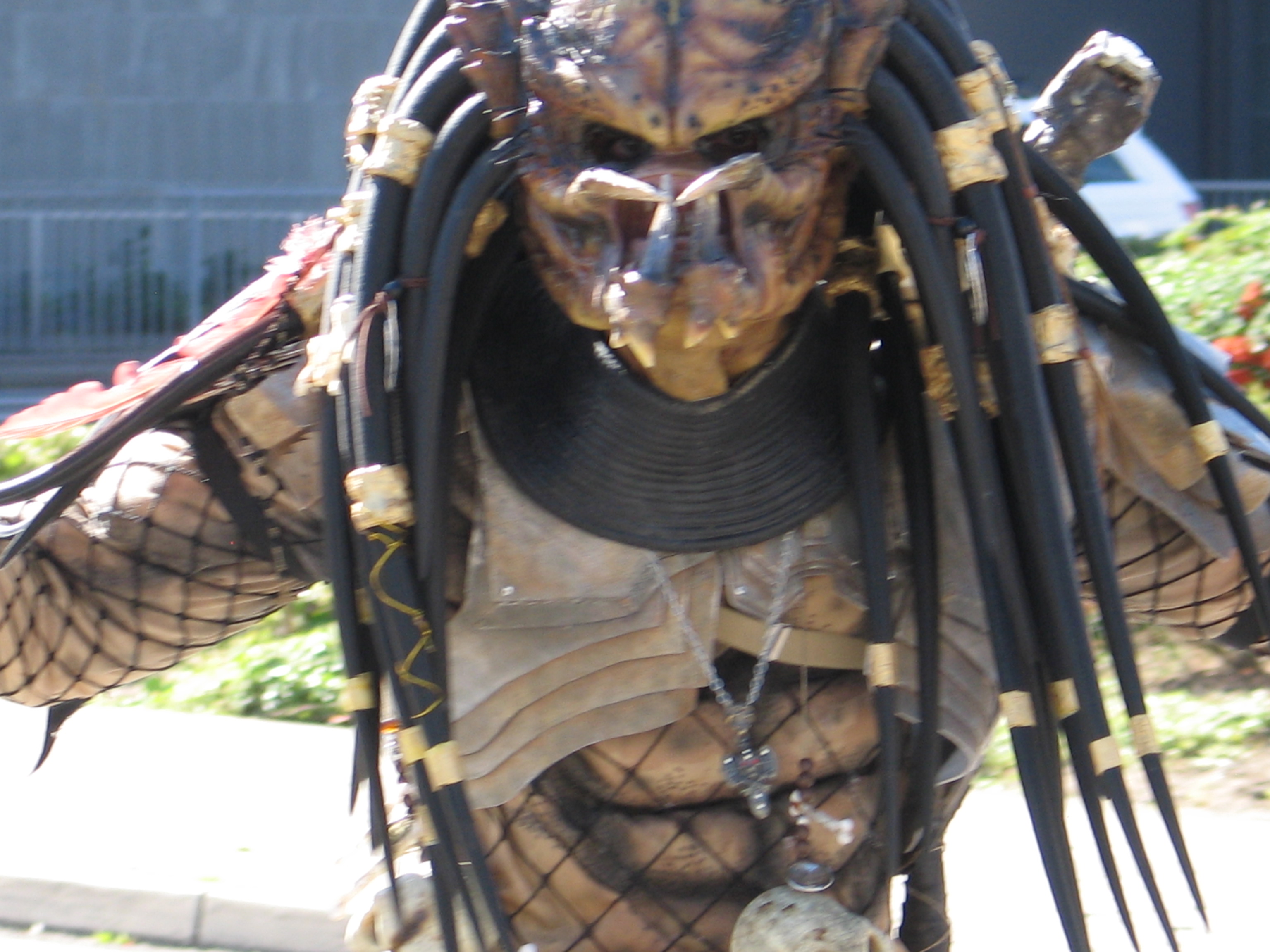 Basildon 9. 9 .2012 065.JPG