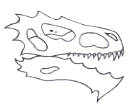 Basilisk_Skull.jpg