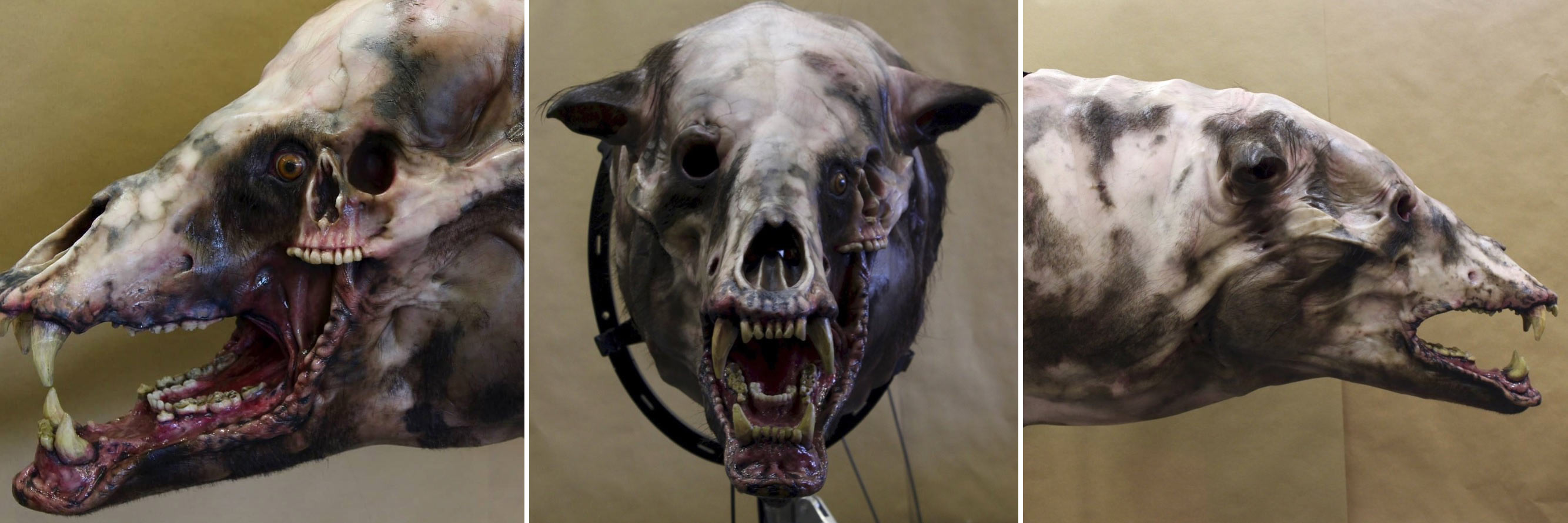 bearmonster.jpg
