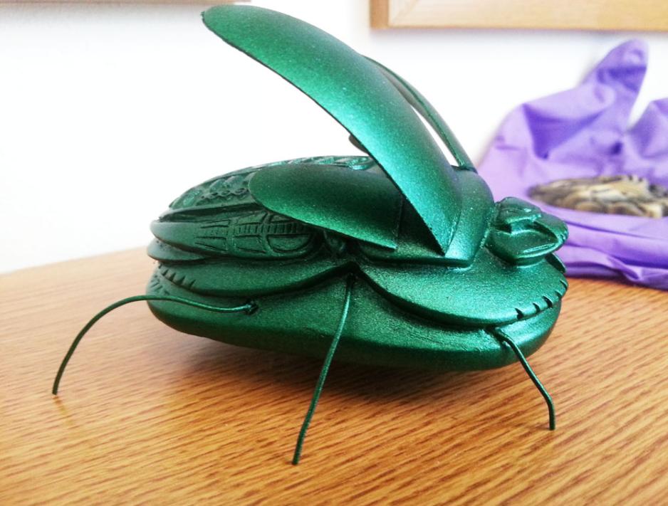 beetle7-938x711.jpg