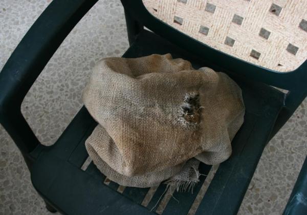 begg5-600x420.jpg