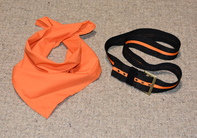 belt scarf.JPG