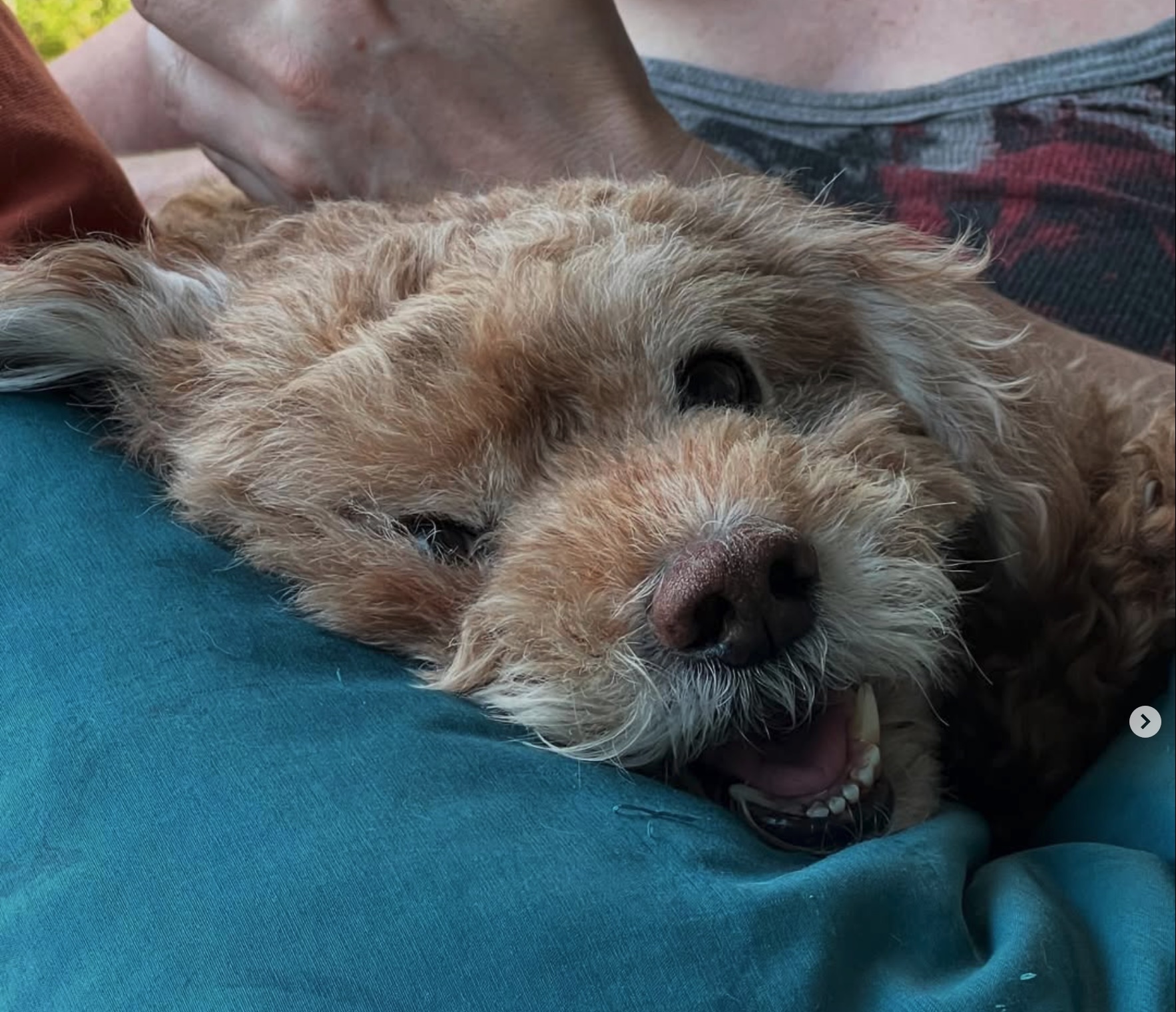 Bentley.jpg