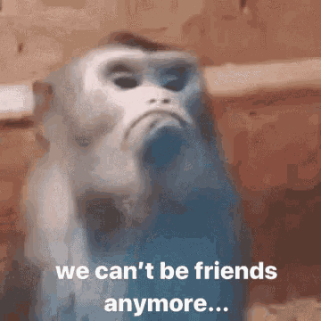 BF072630-798C-4E93-BC84-40B33C73928E.gif