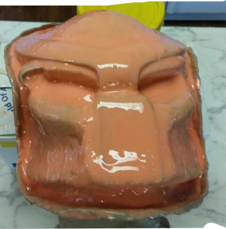 bio in clay 2.jpg