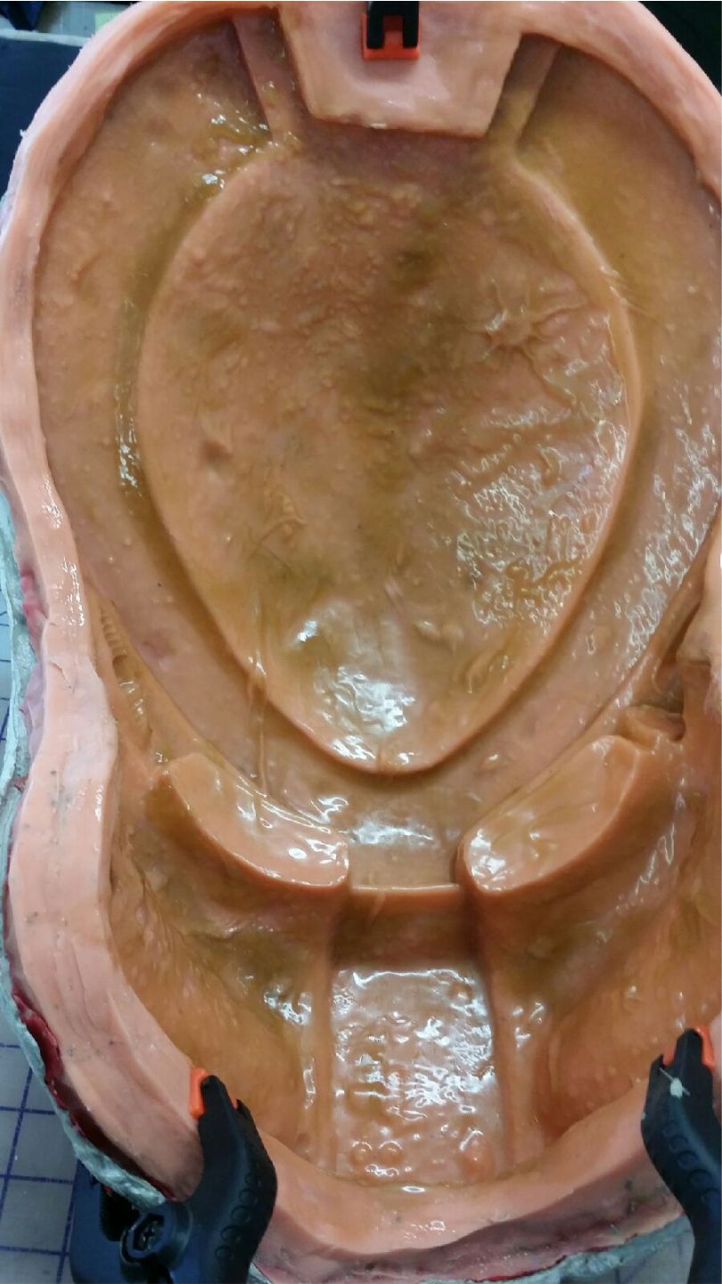 bio in silicone 1.jpg