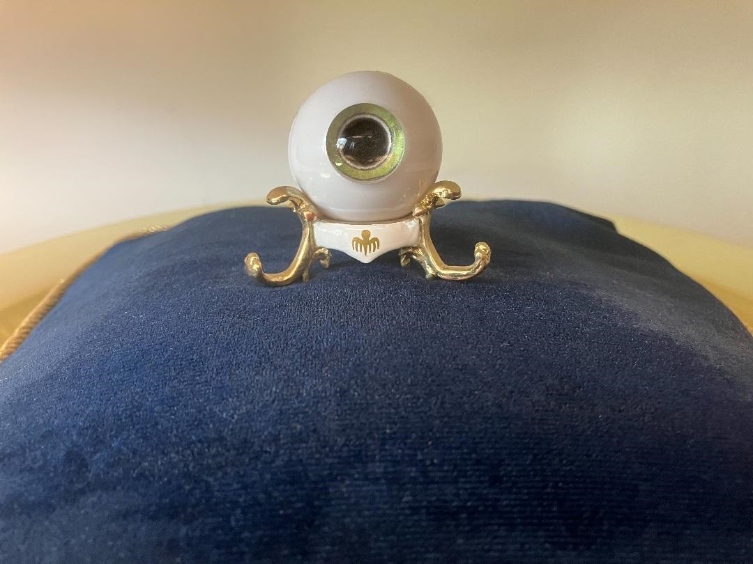 Bionic Eye -Rep TheFudds@aol.com (3).jpg