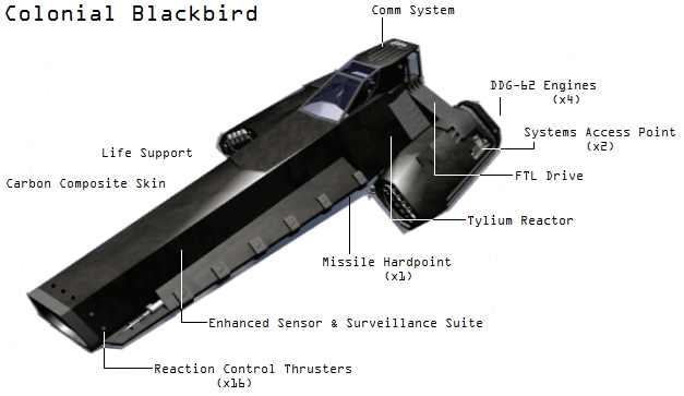 Blackbird.jpg