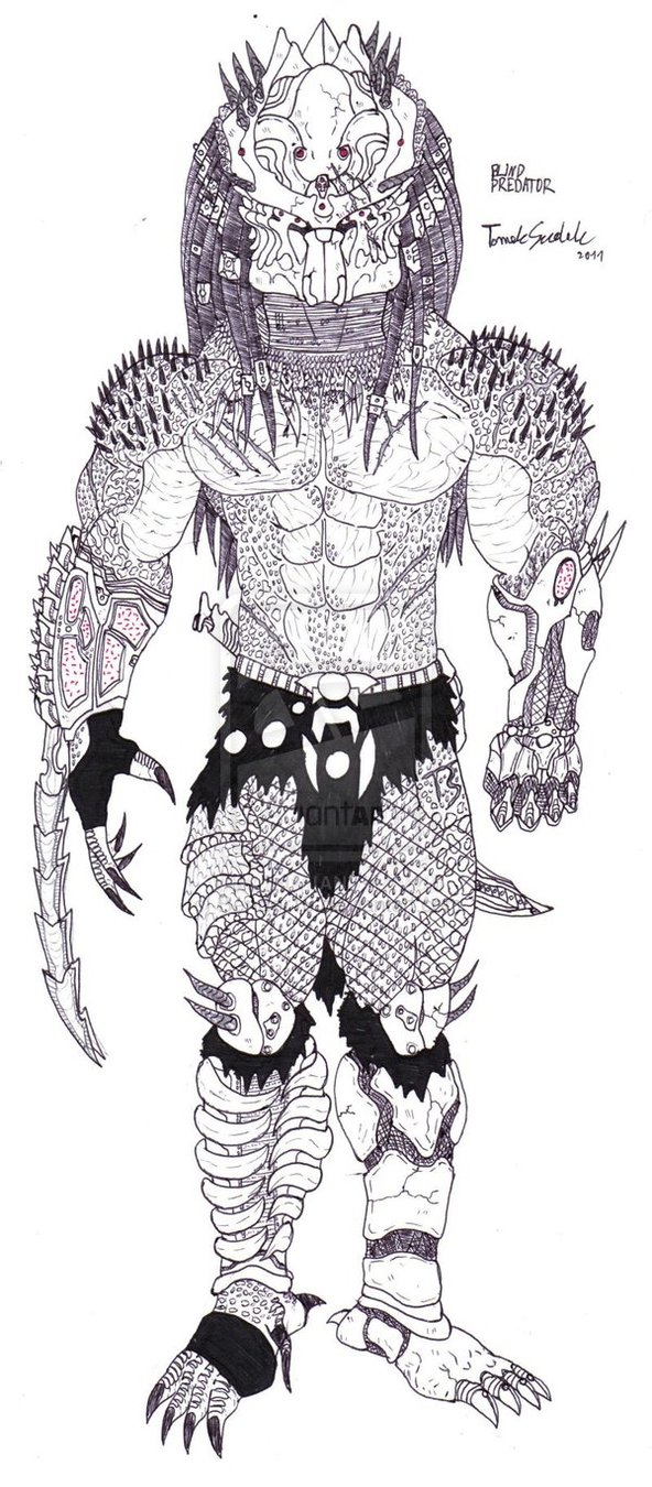blind_predator_by_tomeksudak_by_bender18-d47jsxj.jpg