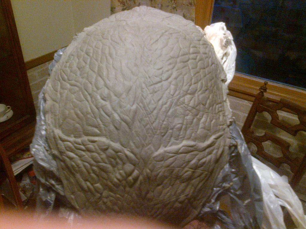 Boarcraniamappliance1_zps8254a3c2.jpg Boarcraniamappliance1_zps8254a3c2.jpg