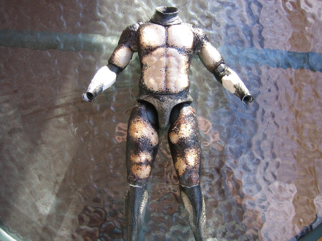 bod1_001a.jpg