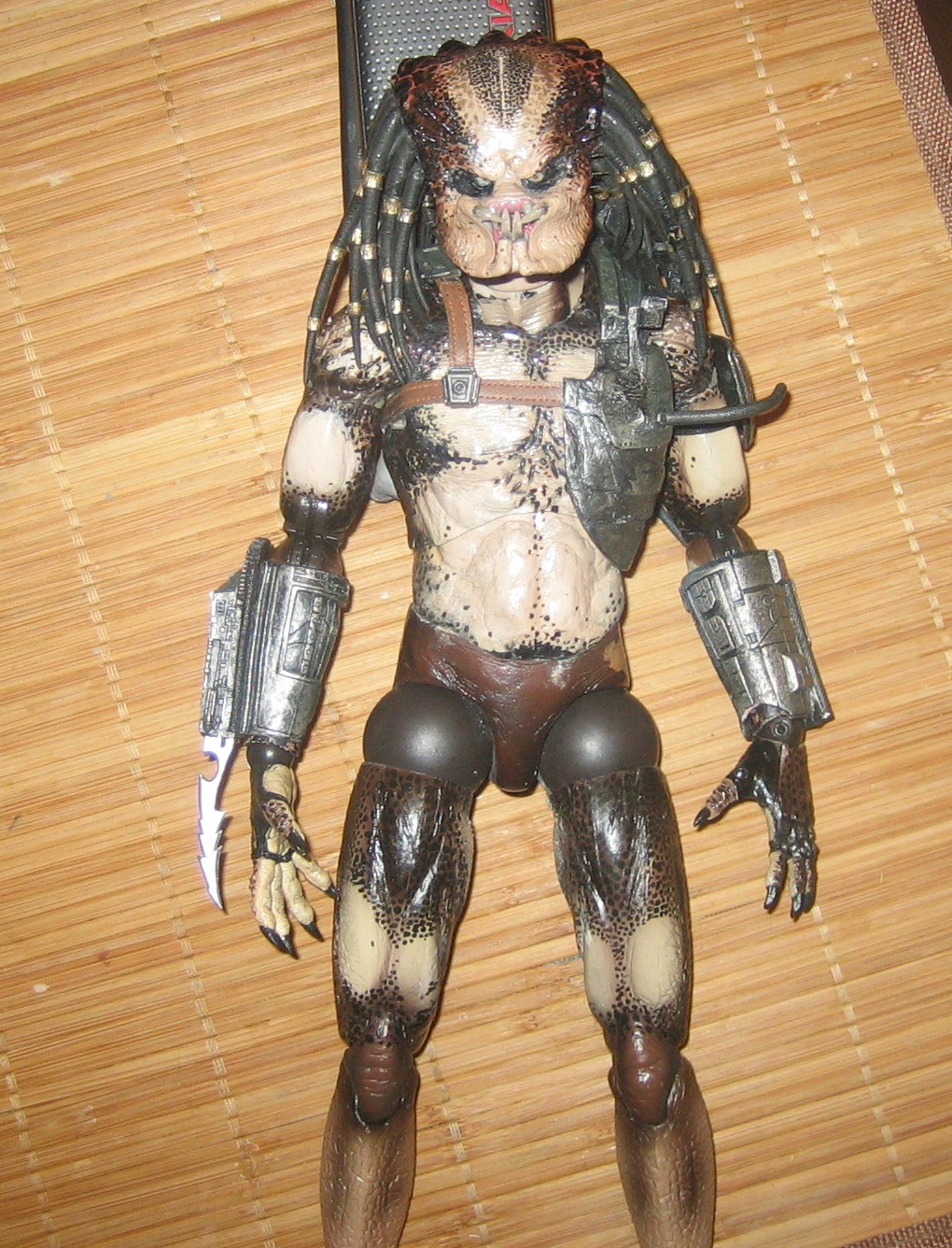 bod1_121.jpg
