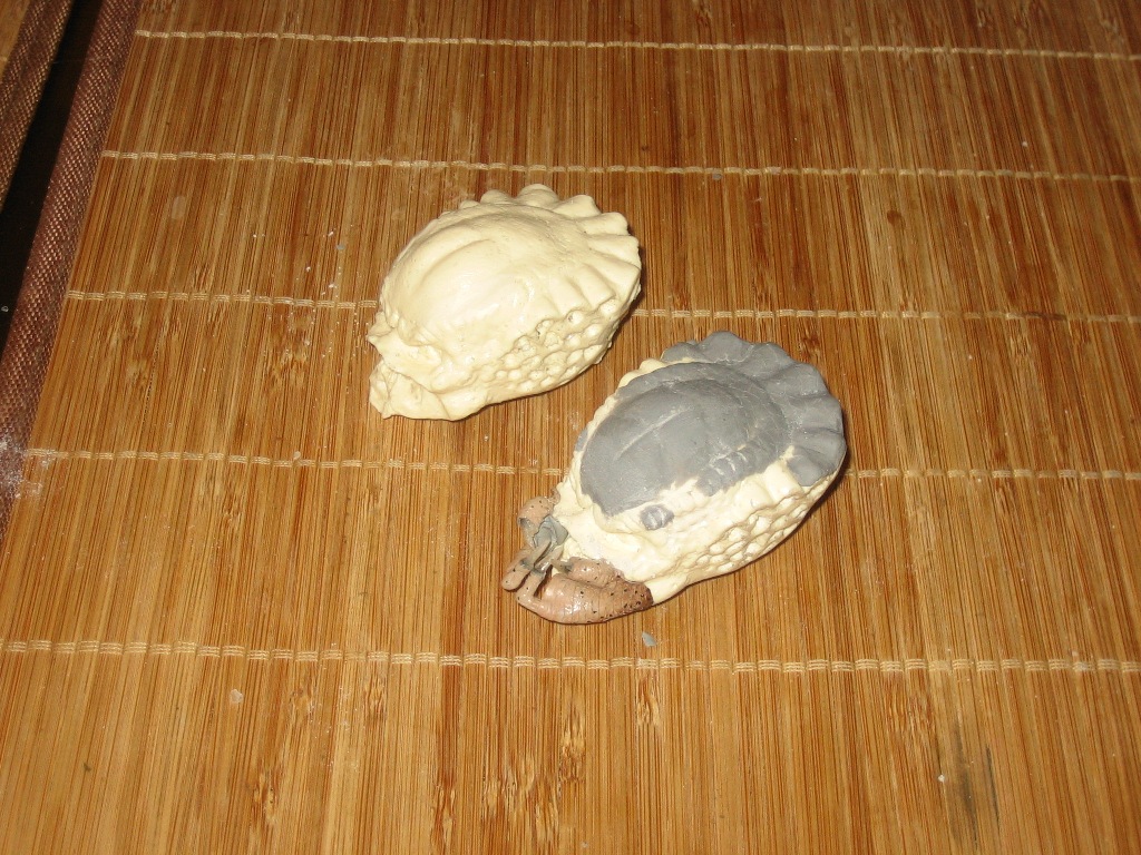 bod1_129a.jpg