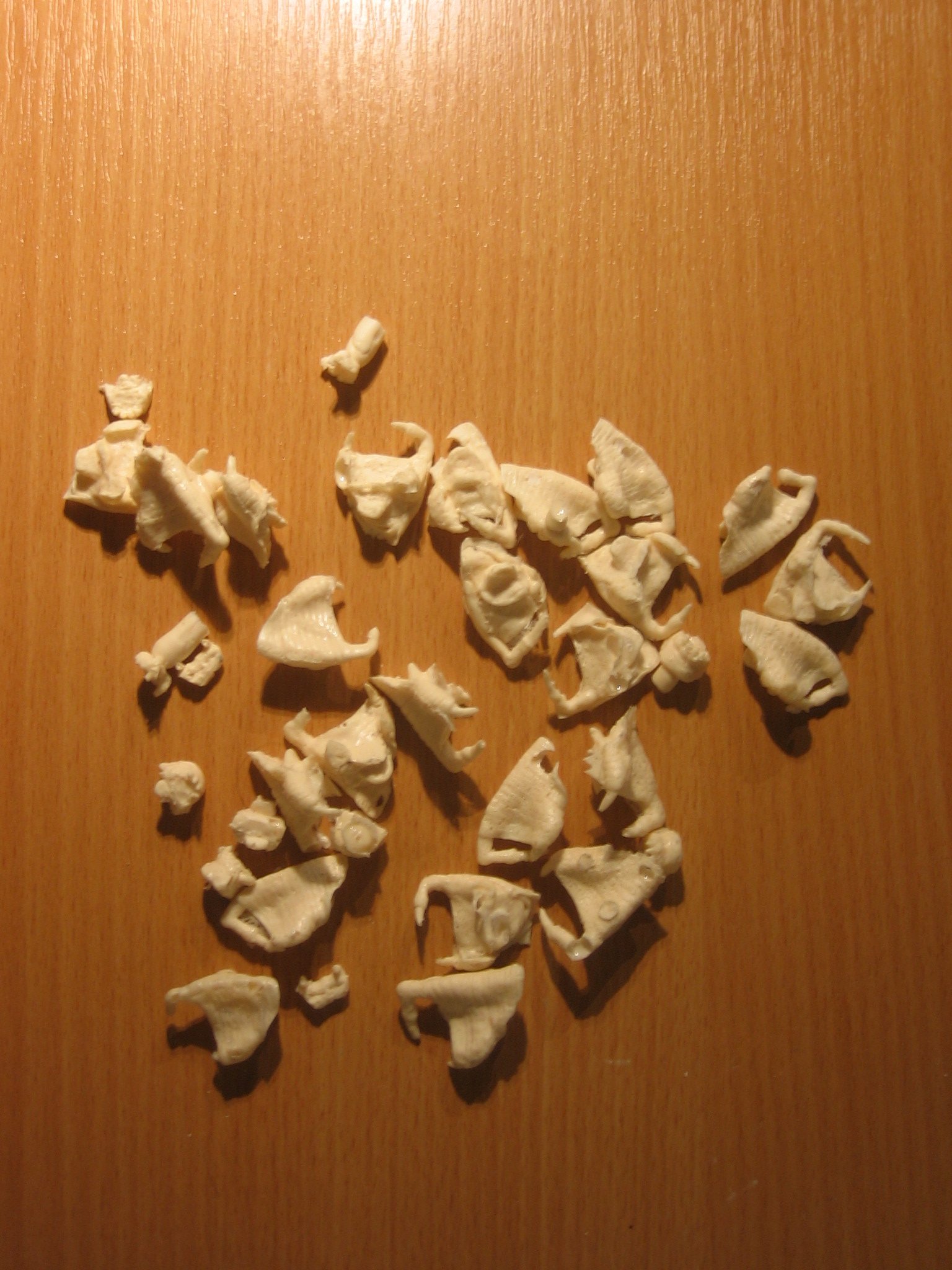 bod1_140.jpg