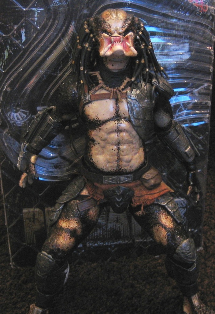 bod1_388h.jpg