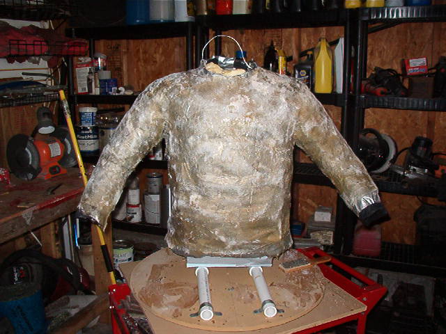 Body suit 2013 001.jpg