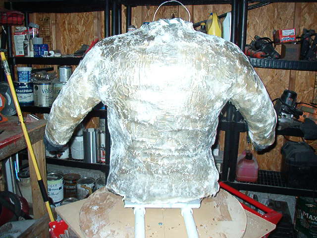 Body suit 2013 003.jpg