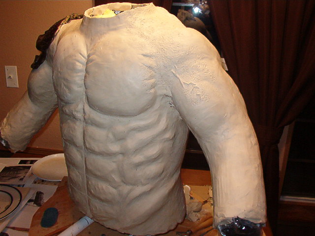 Body suit 2013 004.jpg