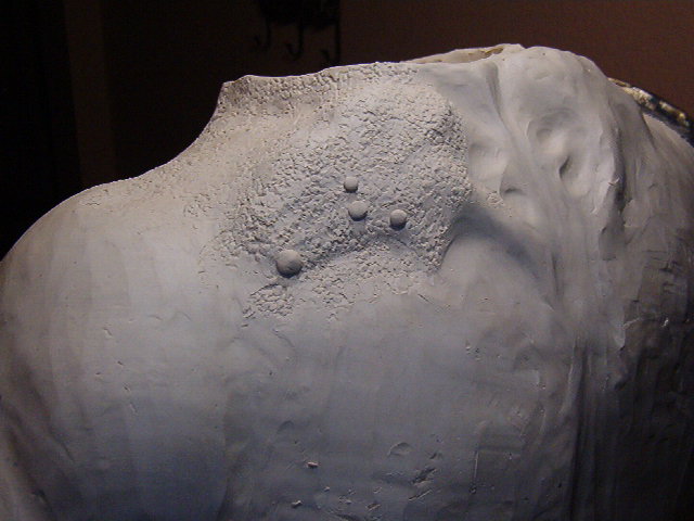 Body suit 2013 005.jpg