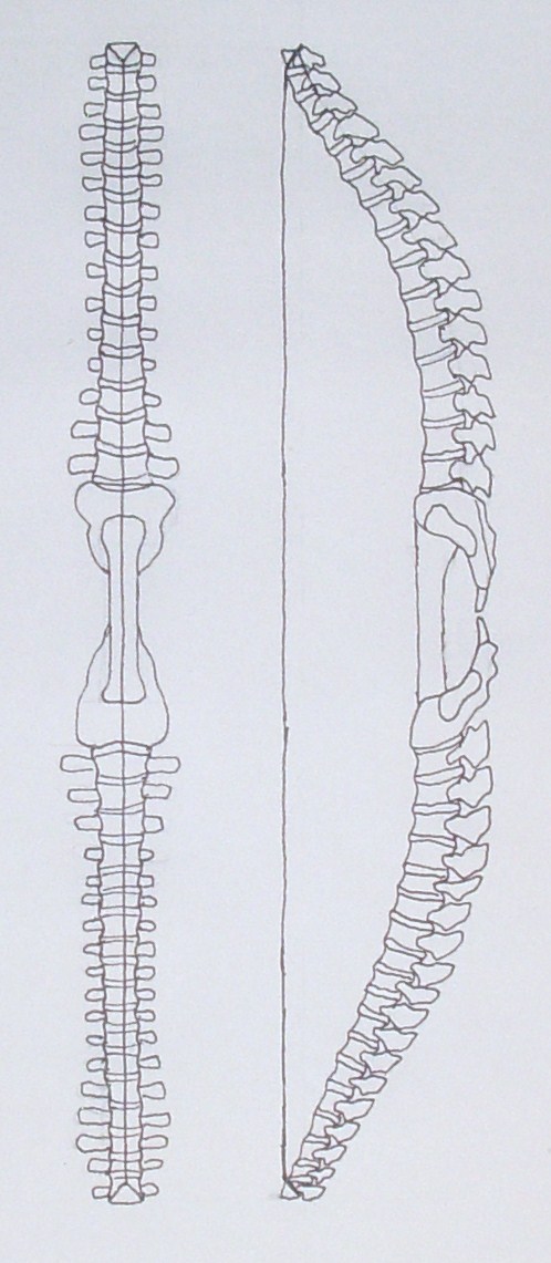 bone_bow_003.JPG