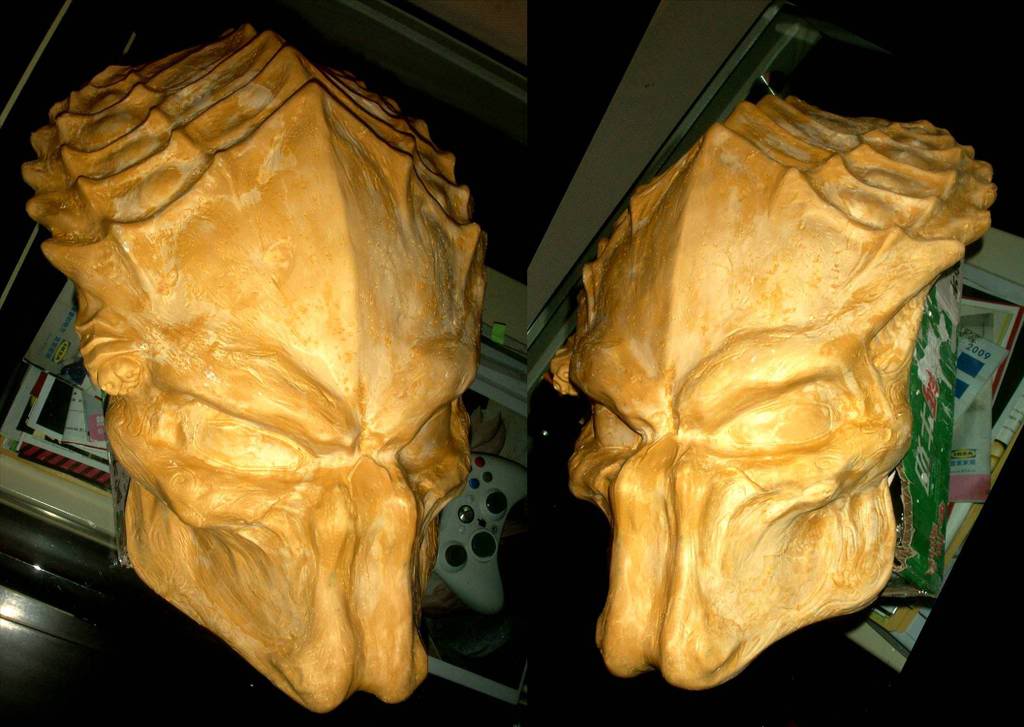 BonePlaster1.jpg