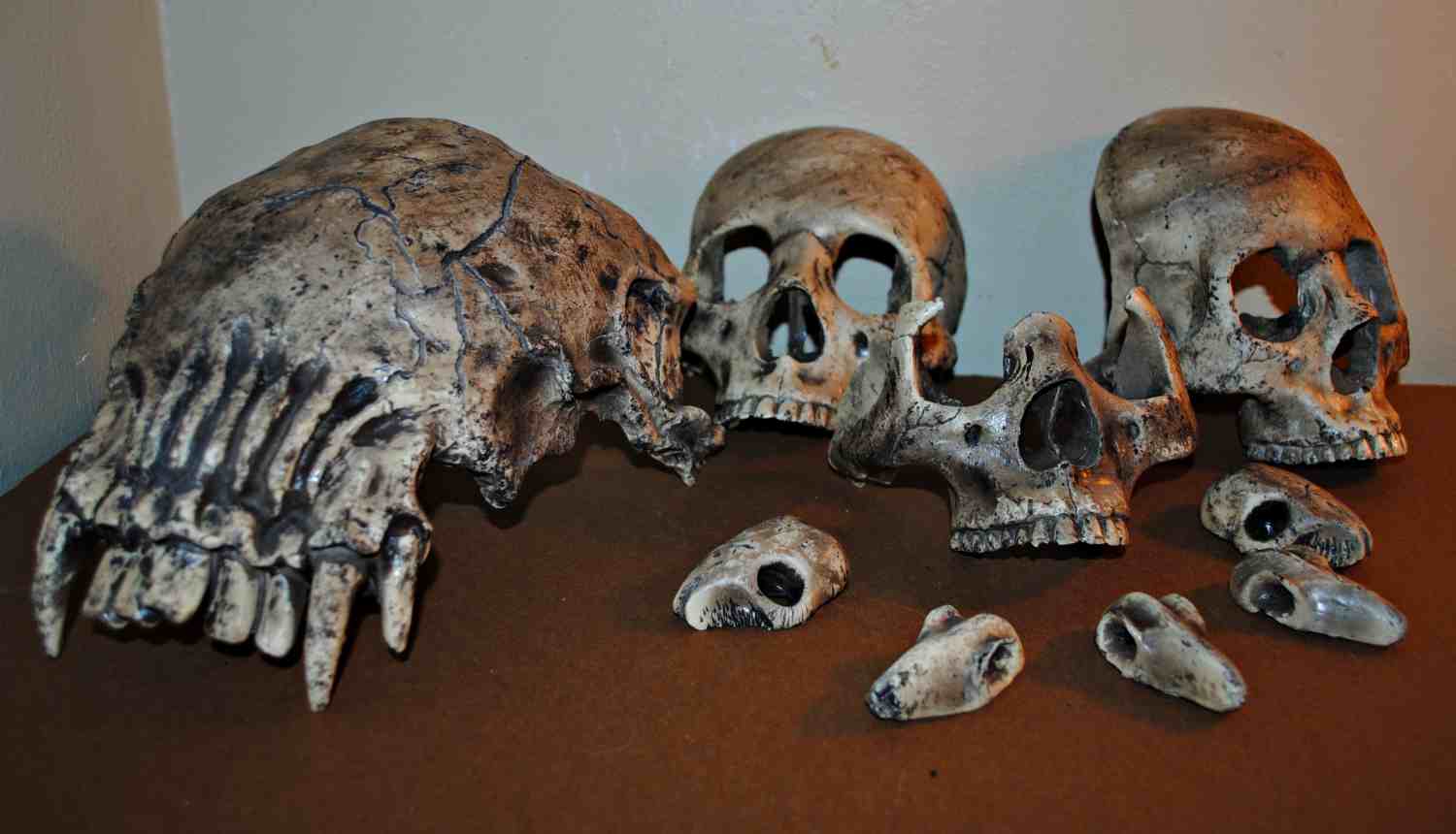 Bones.jpg