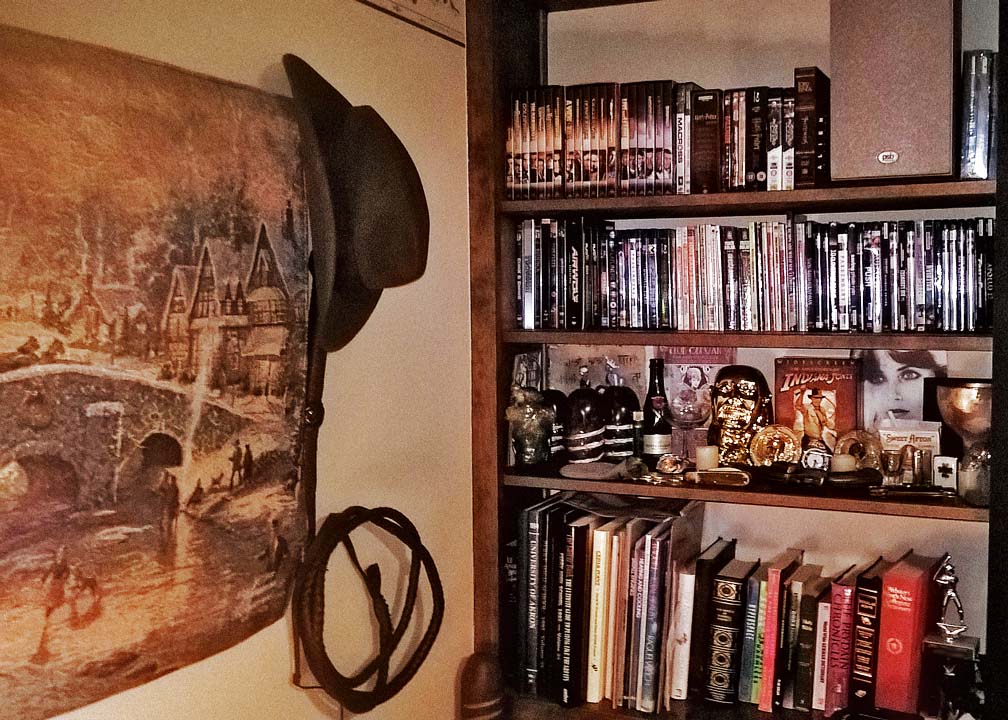 Bookcase Hat Whip 01s.jpg