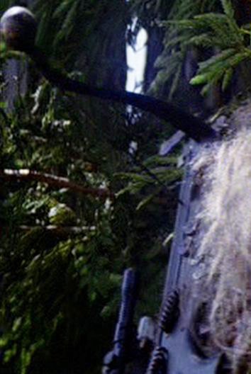 bowcaster_rotj_001_0.jpg