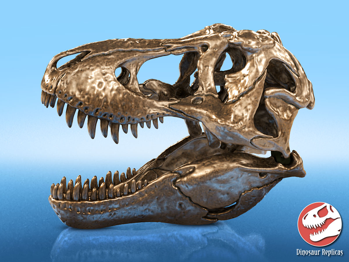 bronze_rex_deviantart_02_by_strick67-dcofun4.jpg