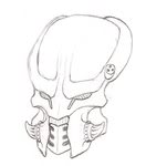 Brother_Boars_Long_Long_Cousin_by_PredatrHuntr.jpg