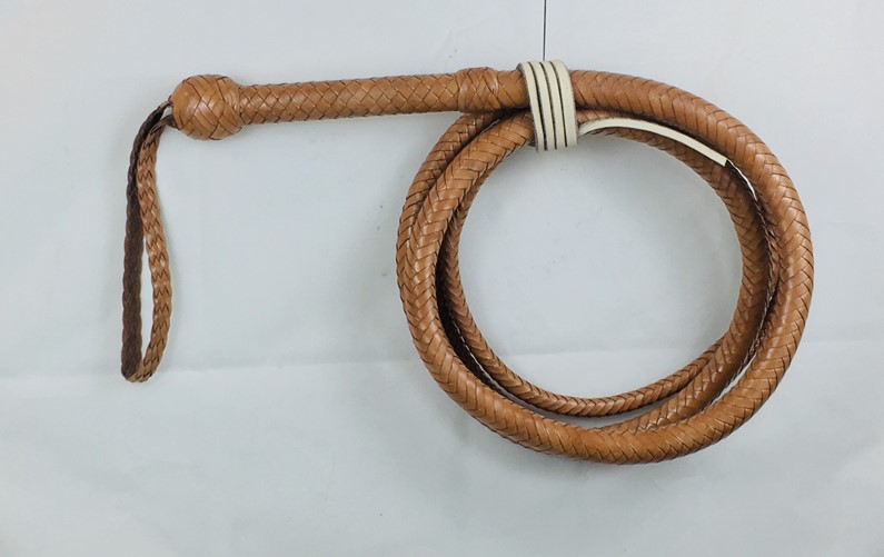 bull whip.jpg