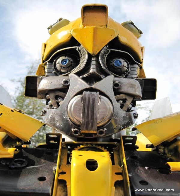 bumblebee_zpsa6f2ce34.jpg