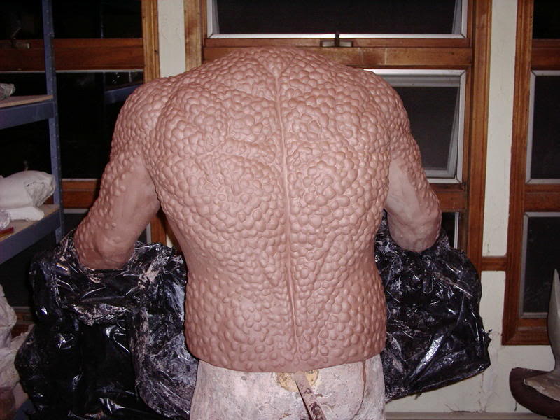 BumpyBack1.jpg