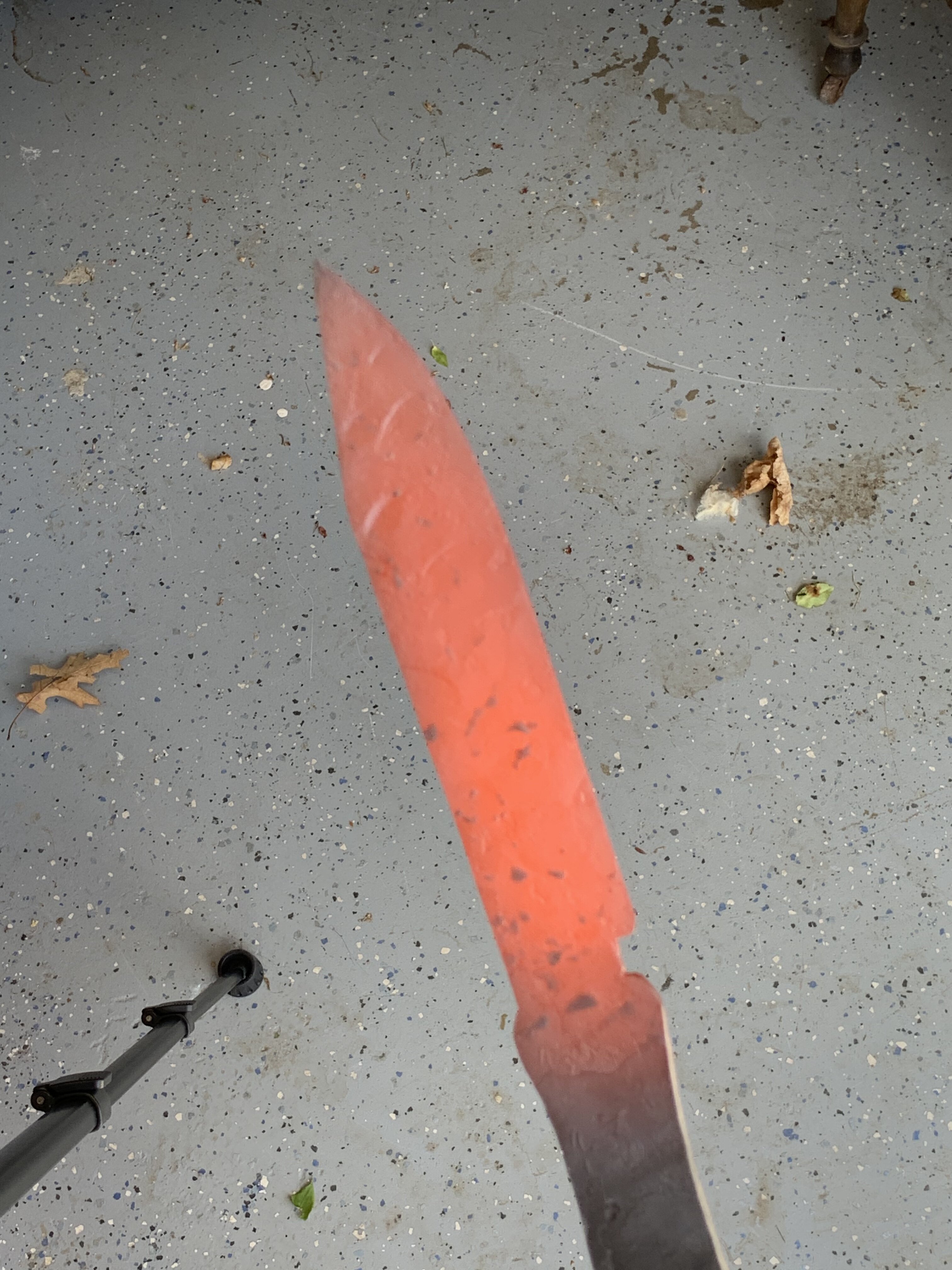 C04136DE-BF41-4CAE-8947-641E09D45722.jpeg