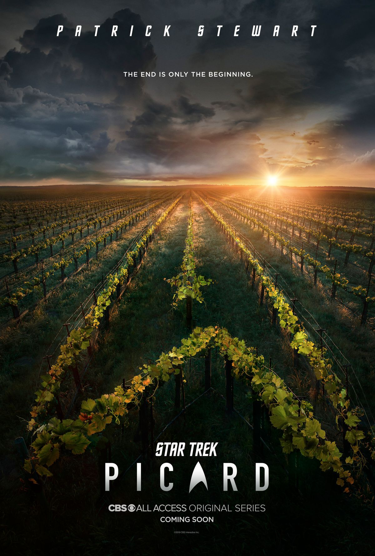 c77e2c90-b1f6-4147-9e61-c1ea61696b5b-STAR_TREK_PICARD_Teaser_Key_Art.jpeg.jpg