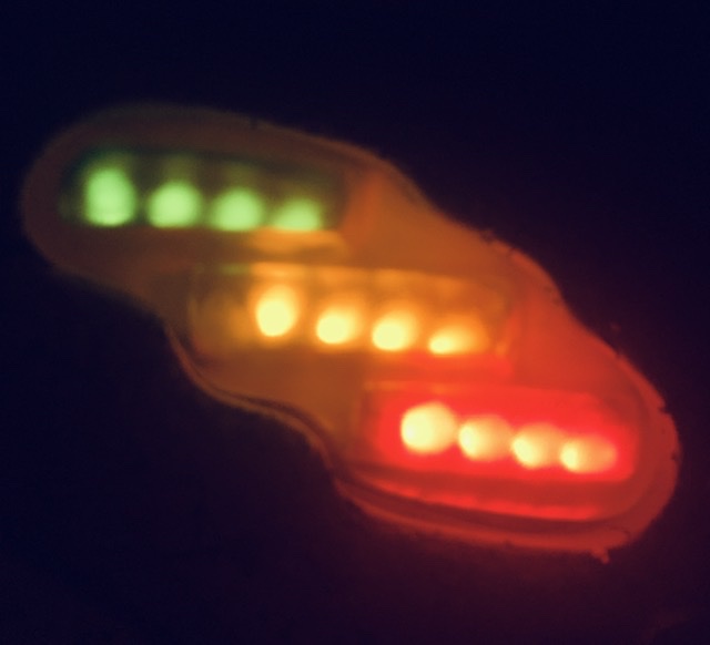 C80F2097-D506-43CE-BEC0-54D66ABED714.jpeg
