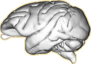 C80F673A-A863-4C15-97F3-2751F312AE15.png