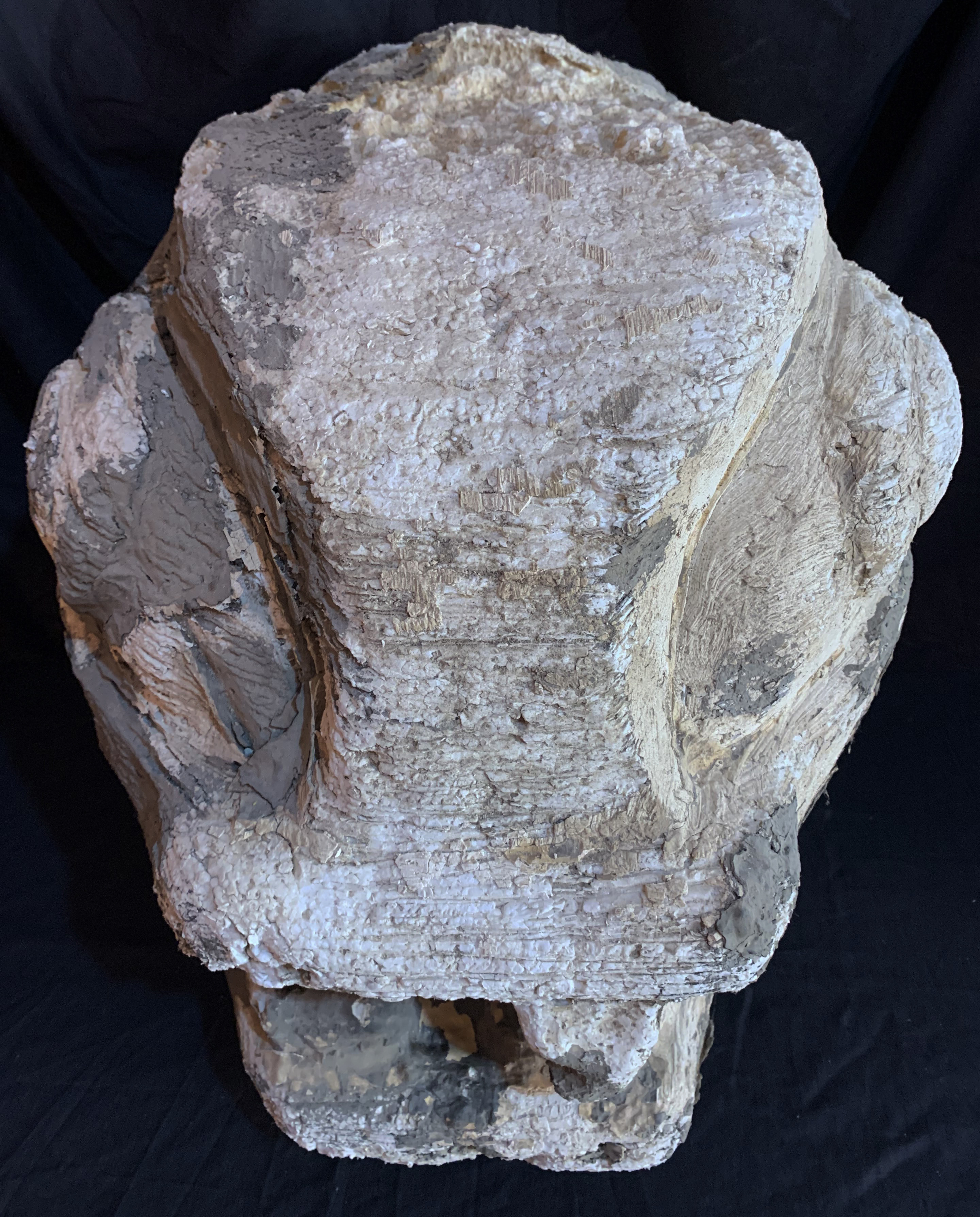 Cabeza Dragón (20).JPG