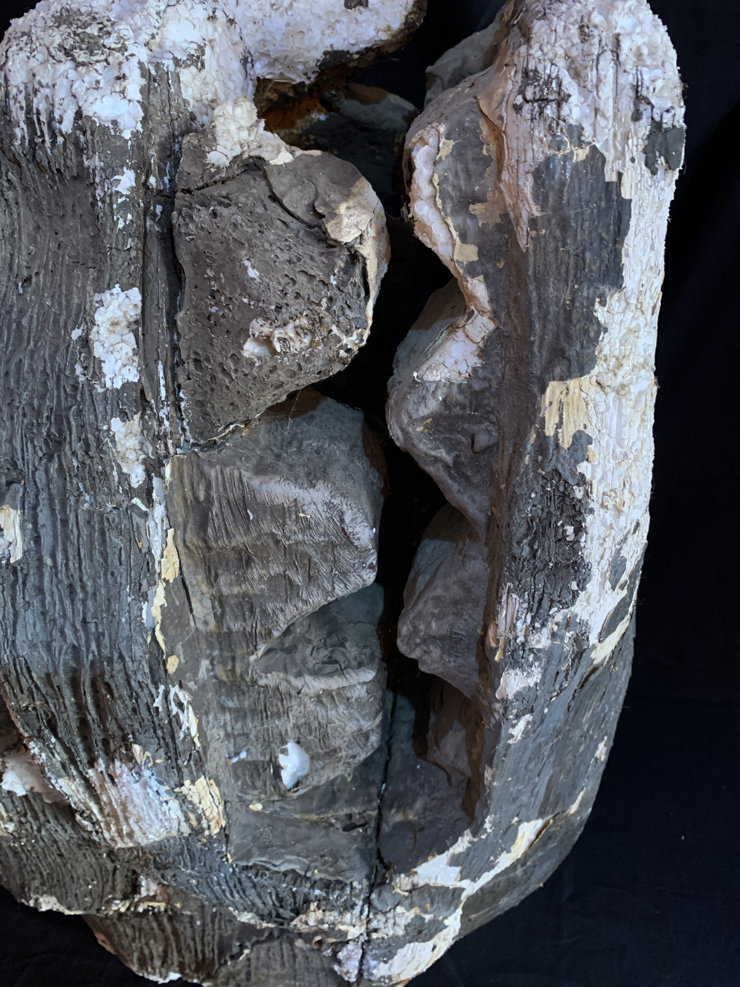 Cabeza Dragón (9).JPG