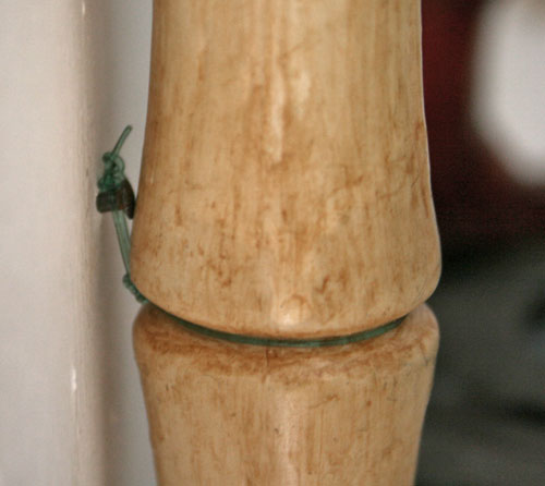 cane2.jpg