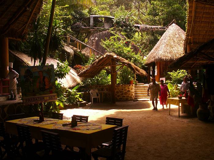 canopy-restaurant-mismaloya.jpg