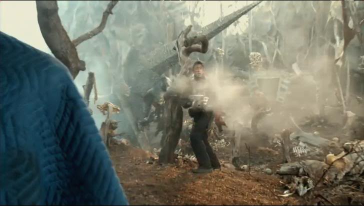 Cap4.jpg