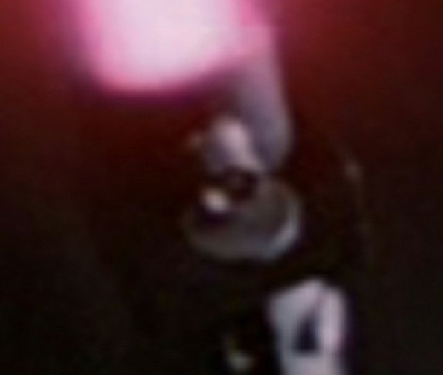 castDring07.jpg