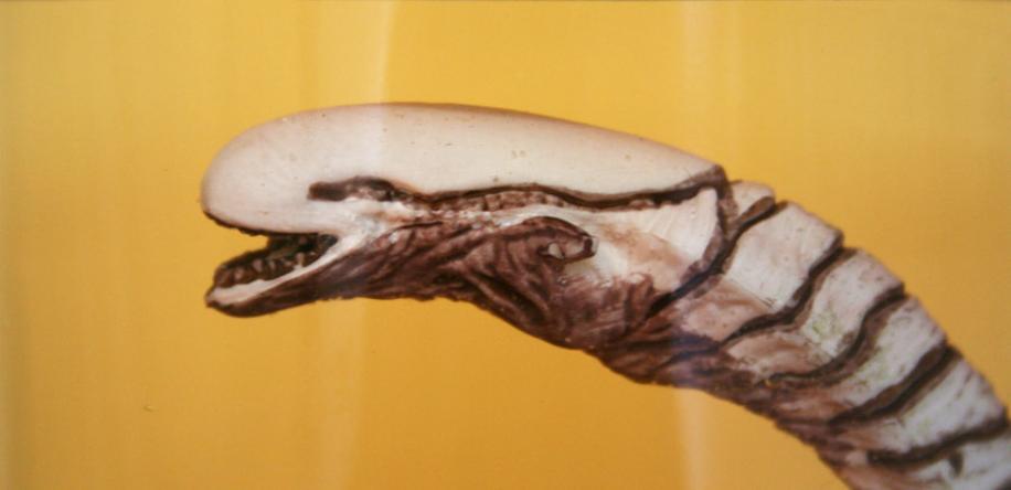 cb5-916x444.jpg