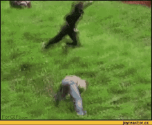 cc.gif
