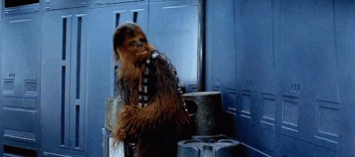chewbacca-nope.gif