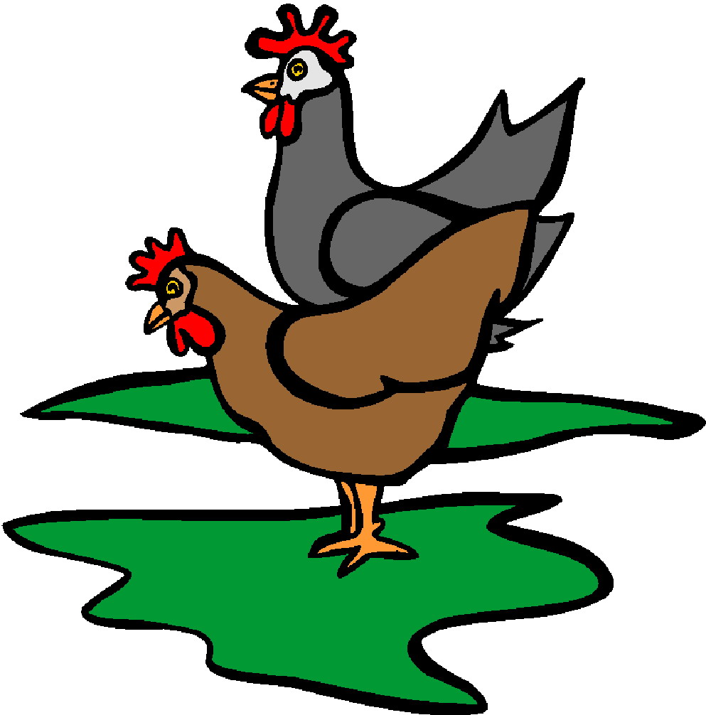 chicken.jpg